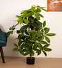 Artificial Pachira Money Tree Plant with Black Pot
