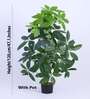 Artificial Pachira Money Tree Plant with Black Pot