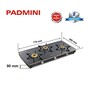 Padmini CS 3GT Gold Auto Ignition 3 Burner Gas Stove (1 HF, 1 Big, 1 Small Burner)