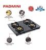 Padmini CS 4GT Royal Manual Ignition 4 Burner Gas Stove (1 HF, 2 Big, 1 Small Burner)