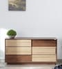 Paduka-1 Shoe Rack in Columbian Walnut & Brentwood Teak Finish With Sliding Door Paduka-1 Shoe Rack in Columbian Walnut & Brentwood Teak Finish With Sliding Door