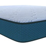 Paincare 4 inch Coir King Size Mattress
