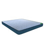 Paincare 4 inch Coir King Size Mattress