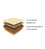 Paincare 4 inch Coir Queen Size Mattress