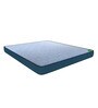 Paincare 5 inch Coir King Size Mattress
