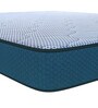 Paincare 5 inch Coir King Size Mattress