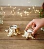 Pair of Turtle Gold Aluminium Candle Holder With Votives