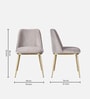 Palatine Velvet Dining Chair In Grey Colour