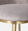 Palatine Velvet Dining Chair In Grey Colour
