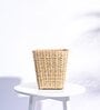 Palm Beige Cane Planter