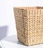 Palm Beige Cane Planter