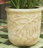 Beige Palm Haven Clay Planter