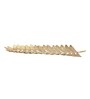 Palm Leaf Gold Aluminium Appetizer Platter