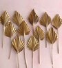 Palm Leaves Golden  Set of 5 Stems Natural Dried Flowers