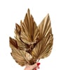 Palm Leaves Golden  Set of 5 Stems Natural Dried Flowers