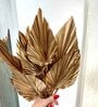Palm Leaves Golden  Set of 5 Stems Natural Dried Flowers