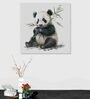 Panda Multicolour Canvas Framed Wall Painting