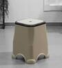 Panda Plastic Seating Stool in Beige & Brown Colour