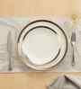 Botanical Glow Silver PVC Dining Table Mats (Set of 6)