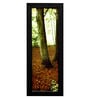 Paper 28.5 x 0.2 x 19 Inch Multicolor Forest Landscape Framed Art Prints