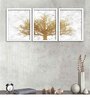 Imagery Designs Multicolour Paper Framed Art Panels Set of 3
