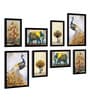 Paper Framed Royal Animals & Peacock Black Set Of 8 Art Print