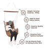 Paradise Fabric Swing in Brown Colour