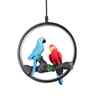 Paradisio Black Iron Hanging Light | Inbuilt LED | without Bulb | Eliante