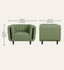 Paramount Fabric 1 Seater Sofa in Green Colour