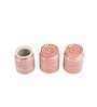 Parikrama Red Spiral 100ml (Set of 3) Ceramic Salt & Pepper Shaker & Thoothpick Holder