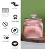 (Set of 2) 300ml Ceramic Parikrama Red Spiral Storage Jar