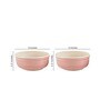 Parikrama Red Spiral 350ml (Set of 2) Ceramic Dinner Bowl