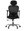 Paris Ergonomic Chair in Black Colour