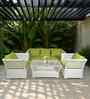 Paris Wicker 2+1+1 Sofa Set In Beige And Brown Color
