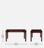 Parnika Sheesham Wood 6 Seater Dining Set In Scratch Resistant Honey Oak Finish