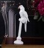 Parrot White Polyresin Figurine