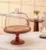 Brown Acacia Wood Party Bell Glass Cake Stand with Glass Dome
