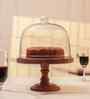 Brown Acacia Wood Party Bell Glass Cake Stand with Glass Dome