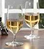 Stemware 380ml (Set of 6) Wine Glass