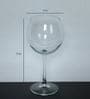 655 ML High Quality White Wine Glasses Set of 6