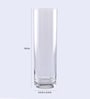 Transparent Flora Cylinder Glass Vase
