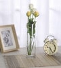 Transparent Flora Cylinder Glass Vase