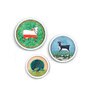 Pashu Panchi Multicolor Canvas Framed Wall Plates (Set of 3)