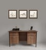 Passion Executive Desk in Leon Teak Finish