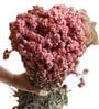 Pastel Pastel Pink  Set of 30 Stems Natural Dried Flowers