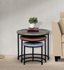 Pastorius Solid Wood Nest Of Tables In Black Finish