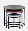 Pastorius Solid Wood Nest Of Tables In Black Finish