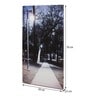Path Of Destiny Led Illuminated Wall Art