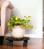 Patio Black Metal Plant Stand