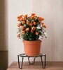 Patio Black Metal Plant Stand